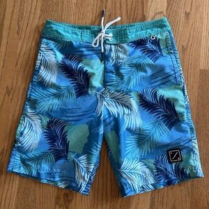 Men’s American Eagle Blue Swim Suit Trunks Size Small